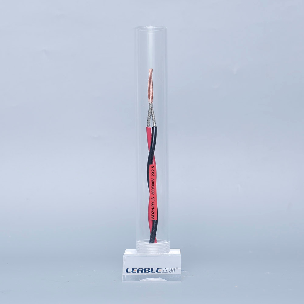 WDZN-RYJS  300/300V  2X2.5